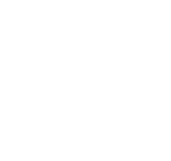 BAI_logo_all_white_hollow
